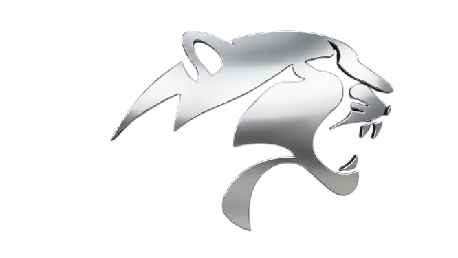 Logo FastOss